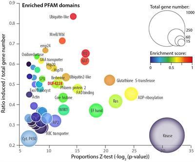 Patterns of Sequence and Expression Diversification Associate Members of the PADRE Gene Family With Response to Fungal Pathogens